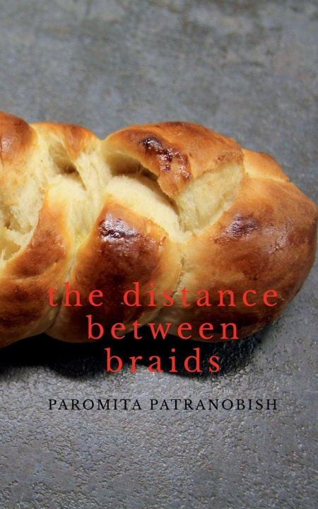 Kniha The Distance Between Braids Paromita Patranobish