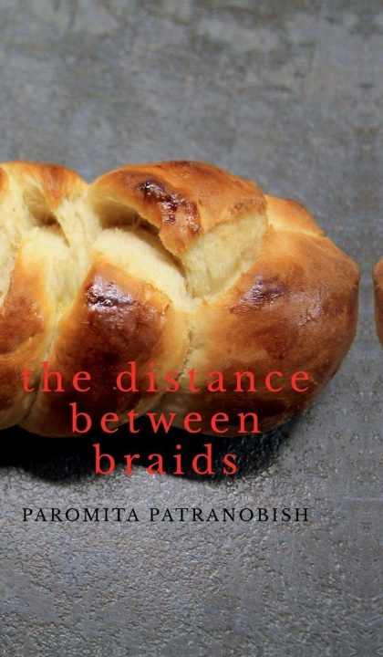 Kniha The Distance Between Braids Paromita Patranobish