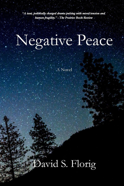 Kniha Negative Peace David S. Florig