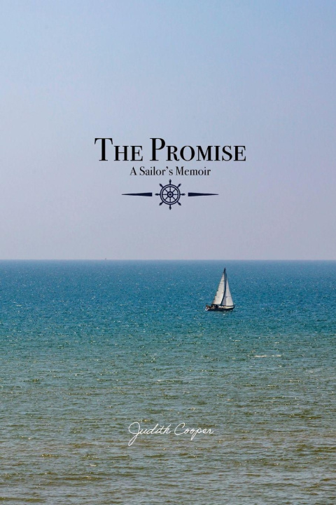 Kniha The Promise Amanda Blankenship