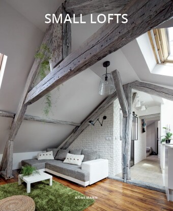 Книга Small Lofts 