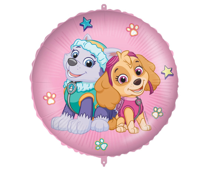 Kniha Balon foliowy Paw Patrol Skye and Everest 46cm 