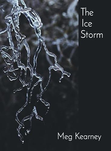 Kniha ICE STORM KEARNEY