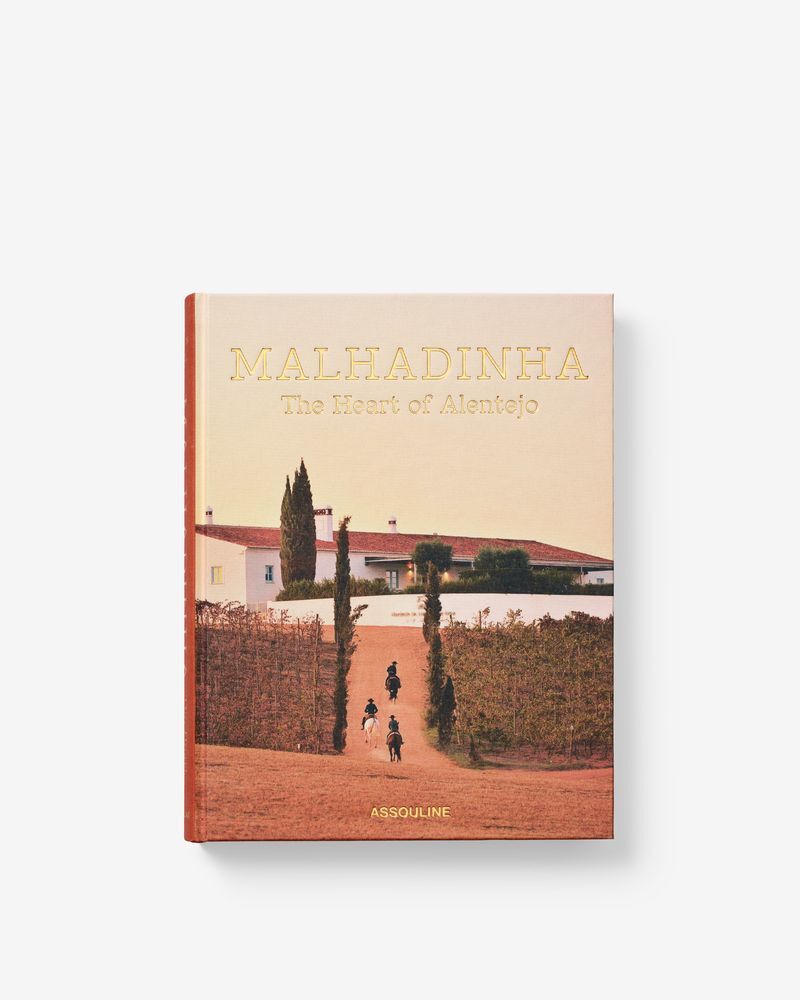 Knjiga Malhadinha Lutz