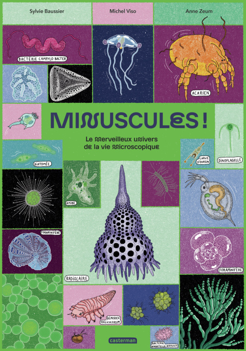 Könyv Minuscules ! Baussier