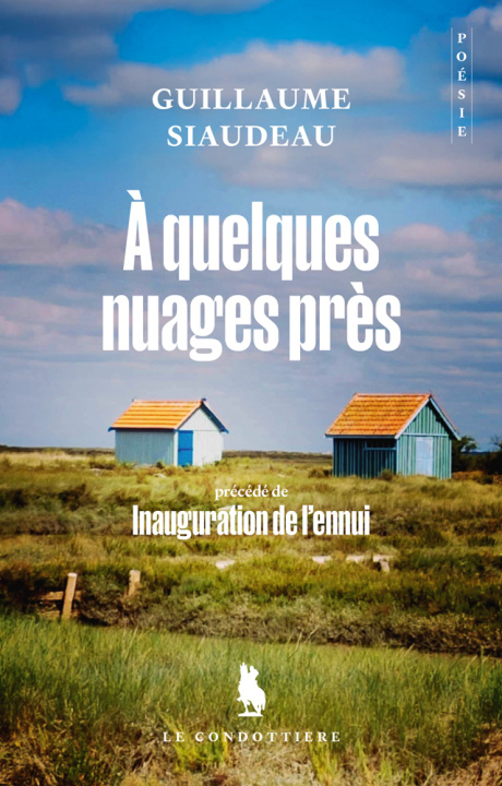Könyv A quelques nuages près SIAUDEAU
