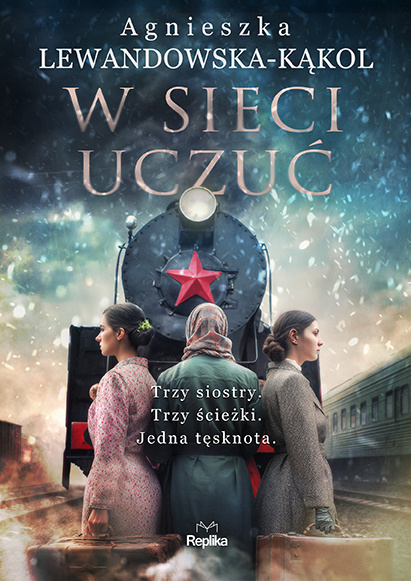 Buch W sieci uczuć Agnieszka Lewandowska-Kąkol