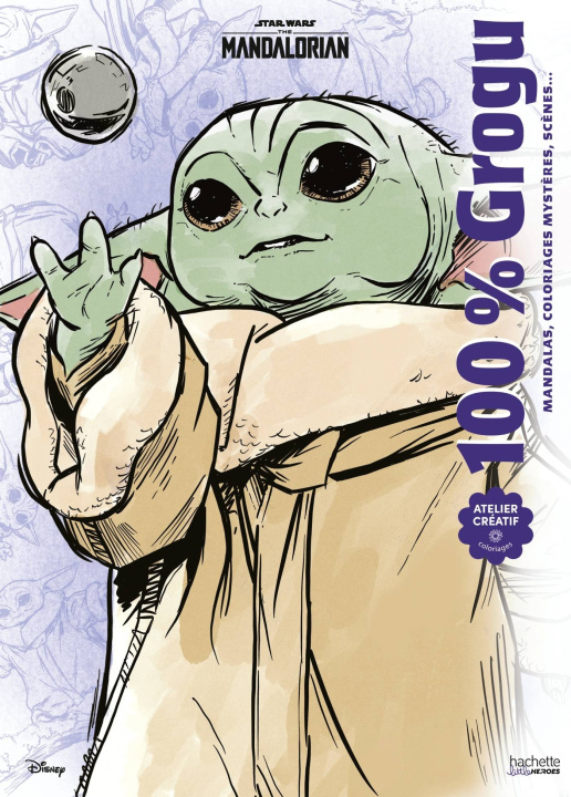 Book 100 % Grogu 