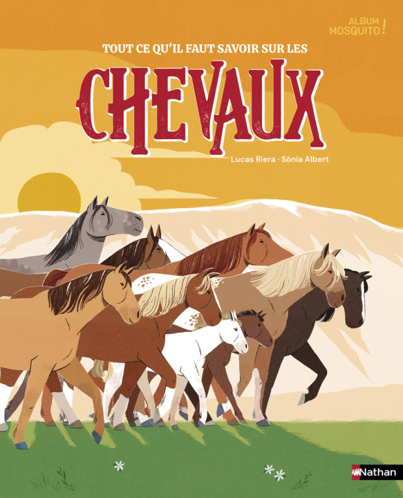 Kniha Chevaux Lucas Riera