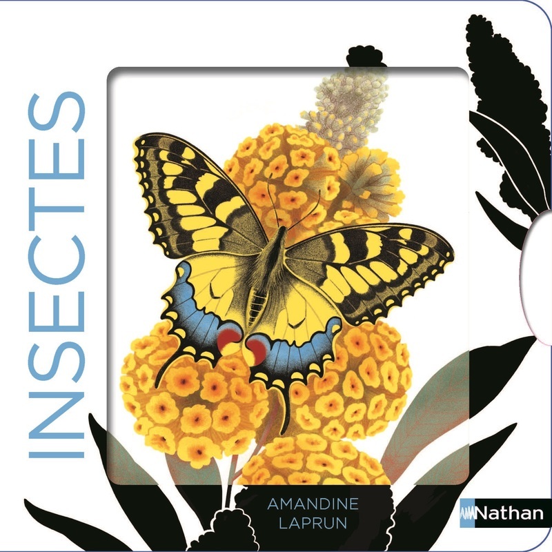 Книга Insectes 