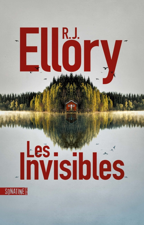 Kniha Les Invisibles R.J. Ellory