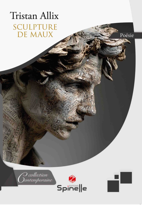 Kniha Sculpture de maux Allix