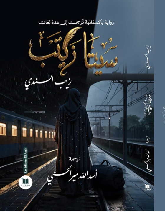 Kniha Sita Zainab زيب السندي