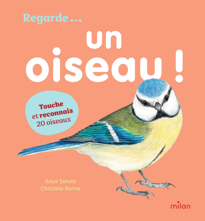 Libro Un oiseau ! Anya SEROTA