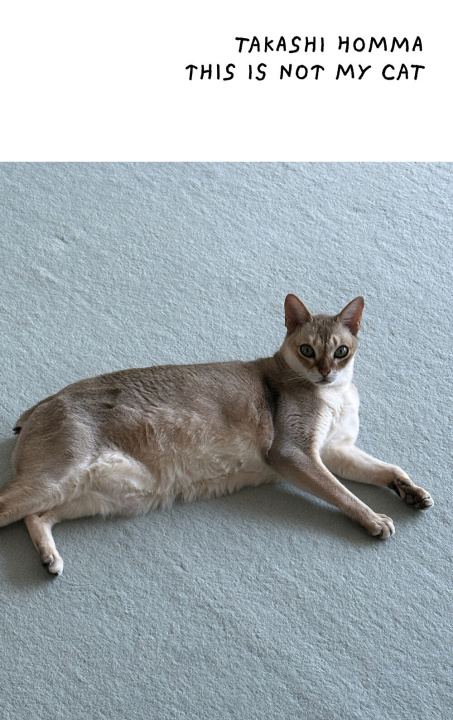 Kniha This Is Not My Cat Takashi Homma