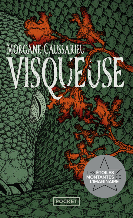 Book Visqueuse Morgane Caussarieu