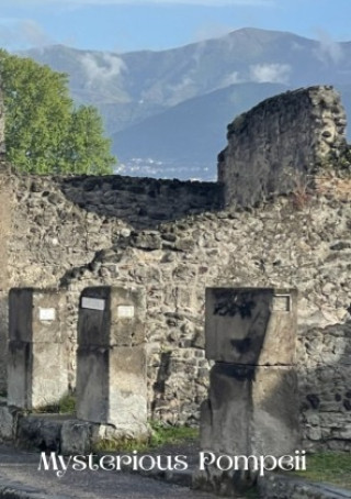 Kniha Mysterious Pompeii! Nicole Strobel