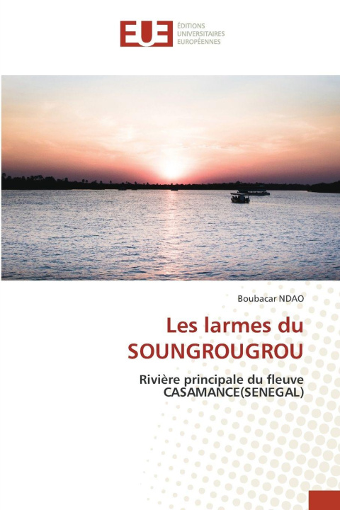 Kniha Les larmes du SOUNGROUGROU Boubacar NDAO