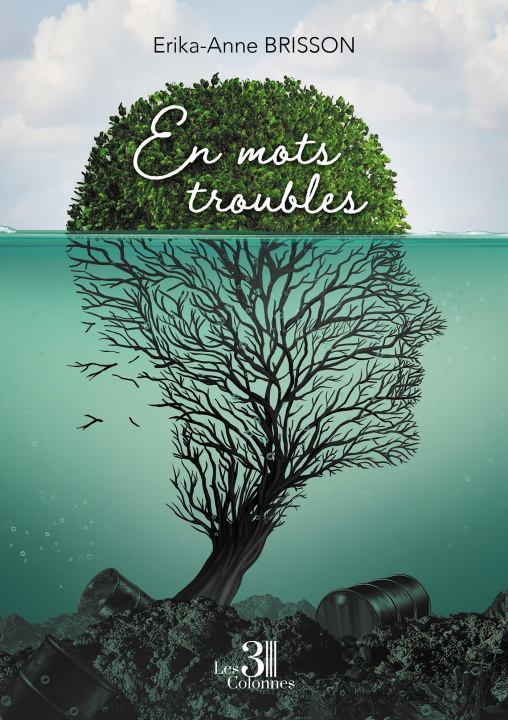 Kniha En mots troubles Erika-Anne BRISSON