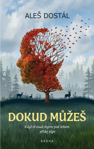 Kniha Dokud můžeš Aleš Dostál