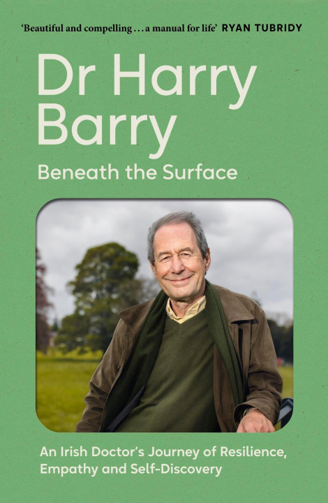 Kniha Beneath the Surface Harry Barry