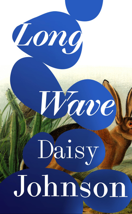 Kniha Long Wave Daisy Johnson