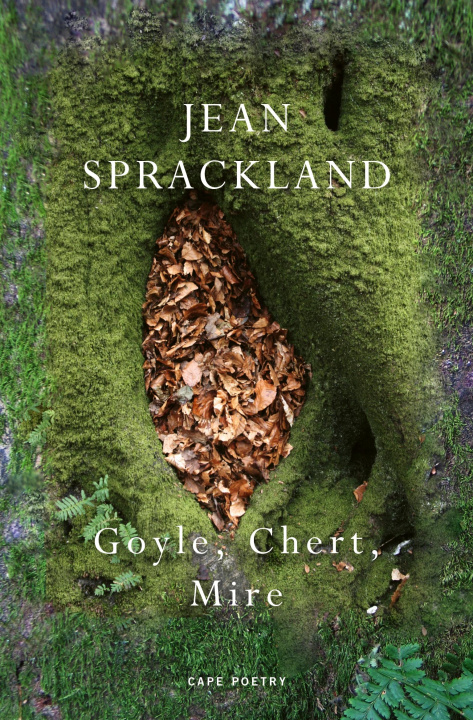 Kniha Goyle, Chert, Mire Jean Sprackland