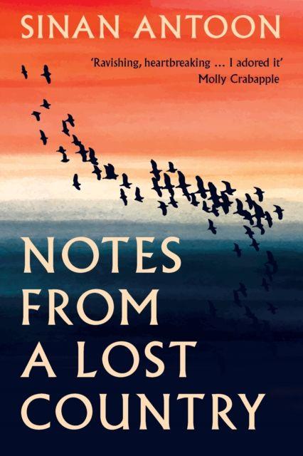 Libro Notes from a Lost Country Sinan Antoon