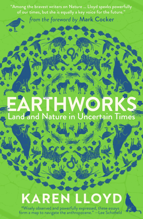 Kniha Earthworks Karen Lloyd