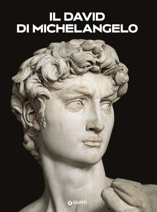 Kniha David di Michelangelo Franca Falletti