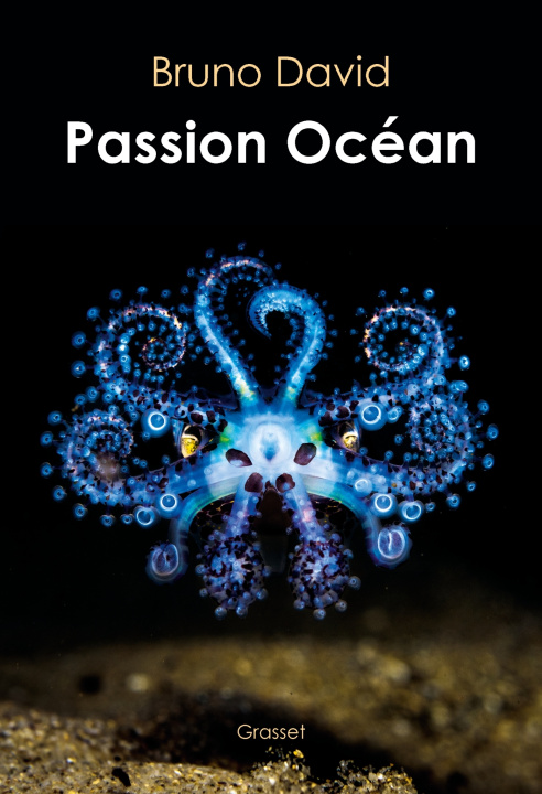 Kniha Passion océan Bruno David