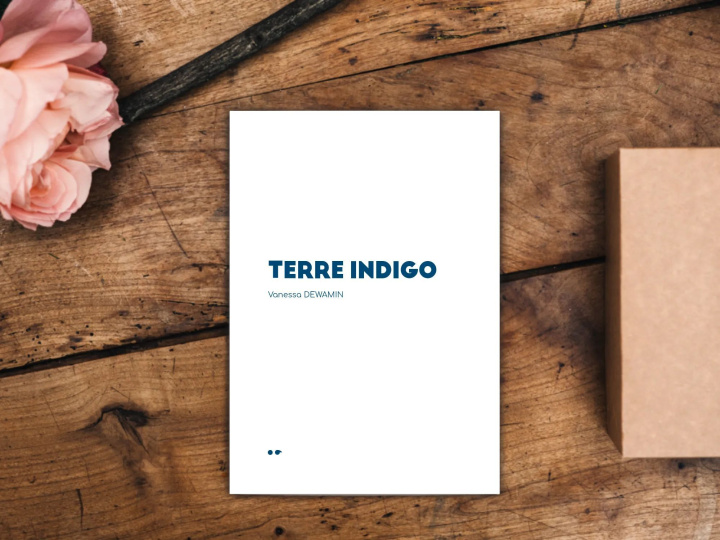 Kniha TERRE INDIGO DEWAMIN