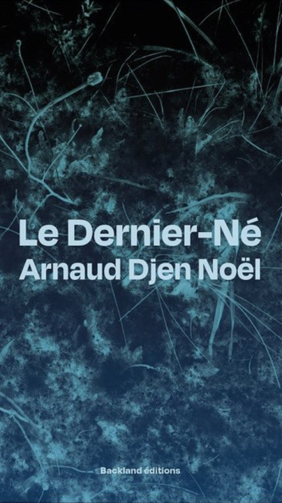 Kniha LE DERNIER NE ARNAUD DJEN