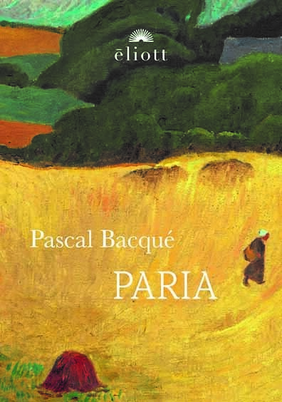 Kniha Paria Bacqué