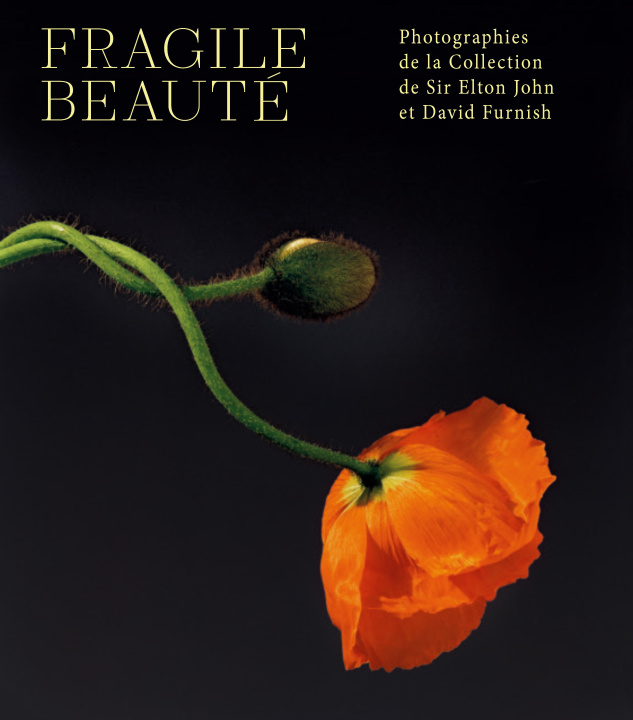 Kniha FRAGILE BEAUTÉ Sam Taylor-Johnson
