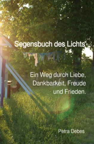 Kniha Segensbuch des Lichts Petra Debes
