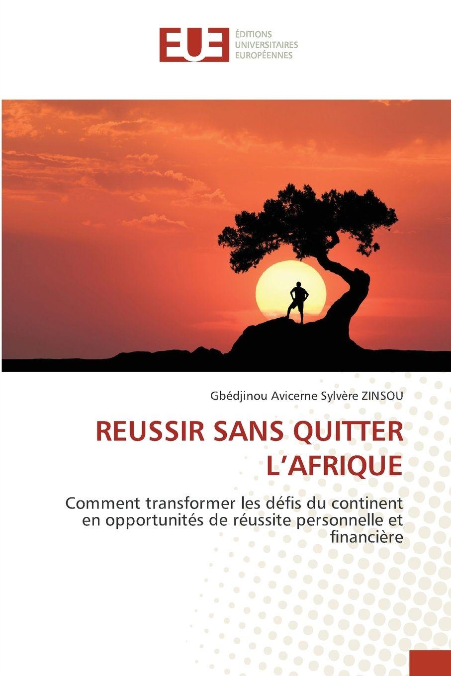 Kniha REUSSIR SANS QUITTER L'AFRIQUE Gbédjinou Avicerne Sylvère ZINSOU