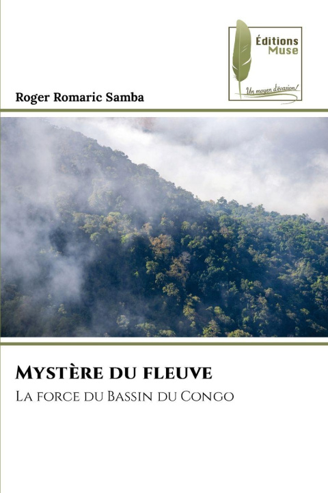 Kniha Mystère du fleuve Roger Romaric Samba
