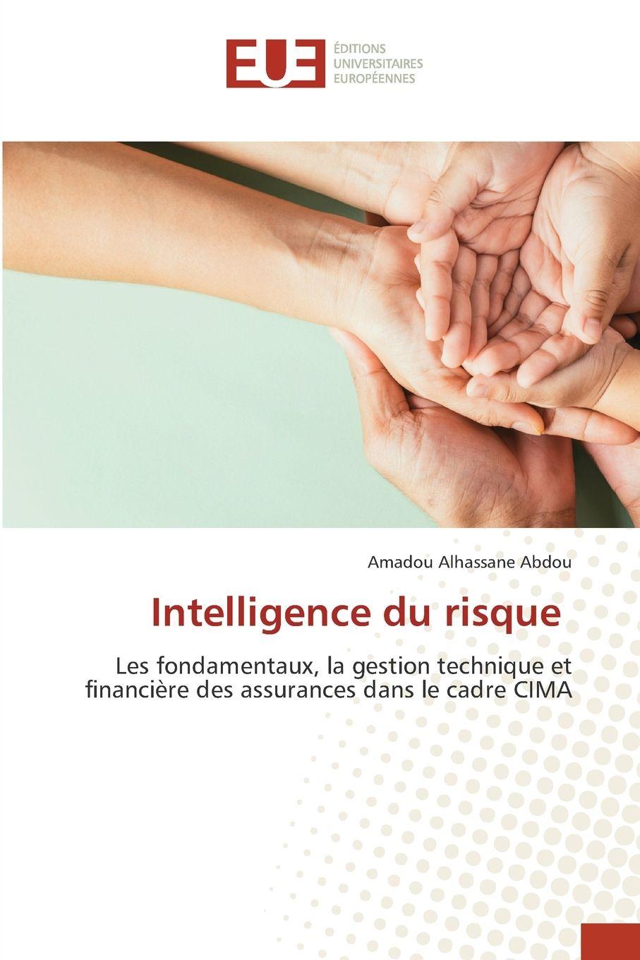 Kniha Intelligence du risque Amadou Alhassane Abdou