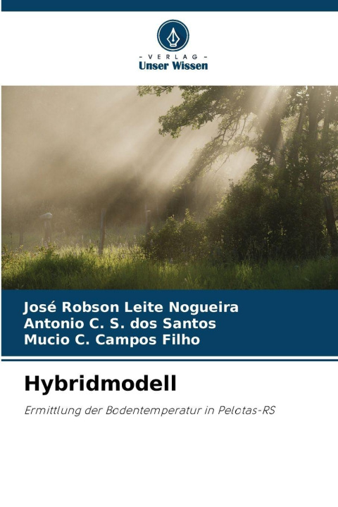 Knjiga Hybridmodell José Robson Leite Nogueira