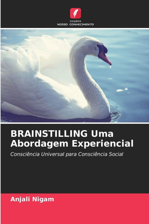 Kniha BRAINSTILLING Uma Abordagem Experiencial Anjali Nigam