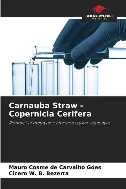 Kniha Carnauba Straw - Copernicia Cerifera Mauro Cosme de Carvalho Góes