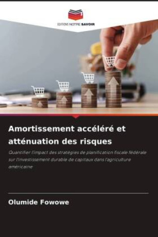 Knjiga Amortissement accéléré et atténuation des risques Olumide Fowowe