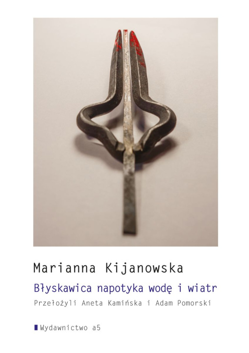 Buch Błyskawica napotyka wodę i wiatr Marianna Kijanowska