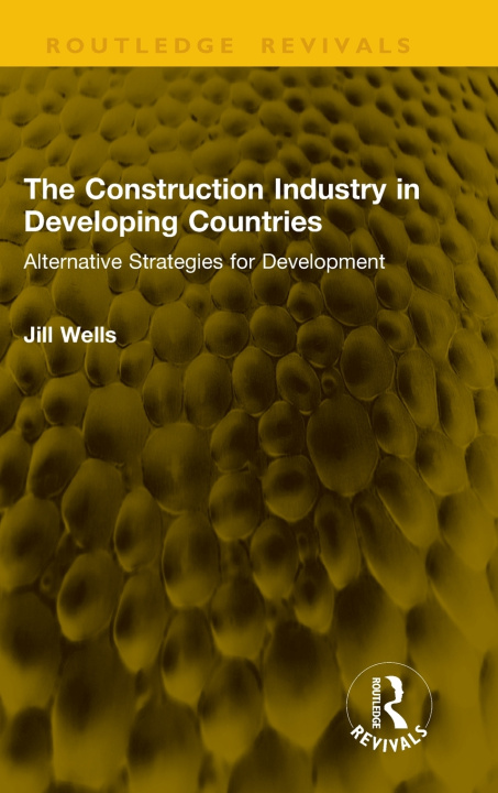 Kniha Construction Industry in Developing Countries Jill Wells