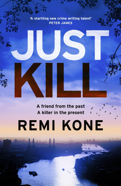 Kniha Just Kill Remi Kone
