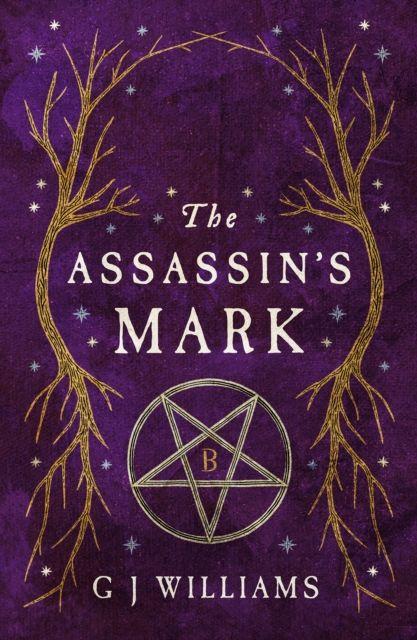 Book Assassin’s Mark G J Williams