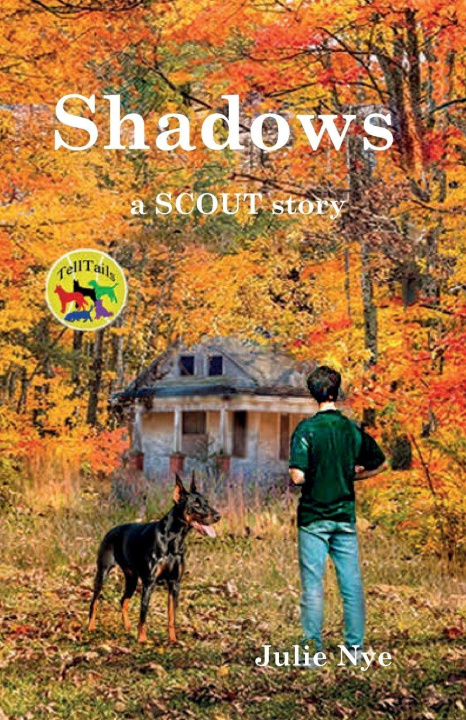 Kniha Shadows Julie Nye