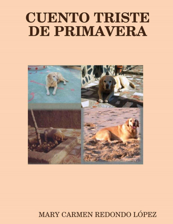 Kniha CUENTO TRISTE DE PRIMAVERA MARY CARMEN REDONDO LÓPEZ