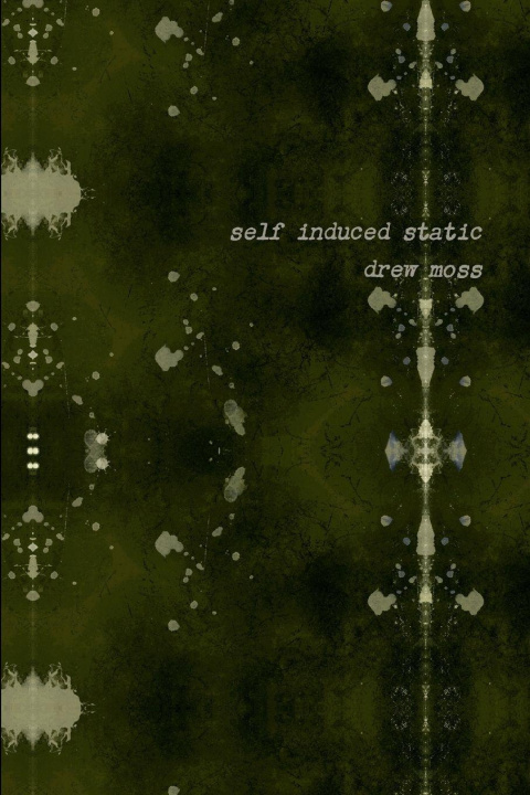 Kniha Self Induced Static Drew Moss